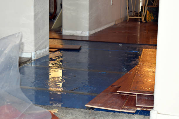 Professional Storm Water Damage Restoration technician working in Pleasant Plain, OH